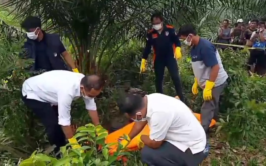 MAYAT PRIA 53 TAHUN DITEMUKAN MEMBUSUK DI KEBUN SAWI