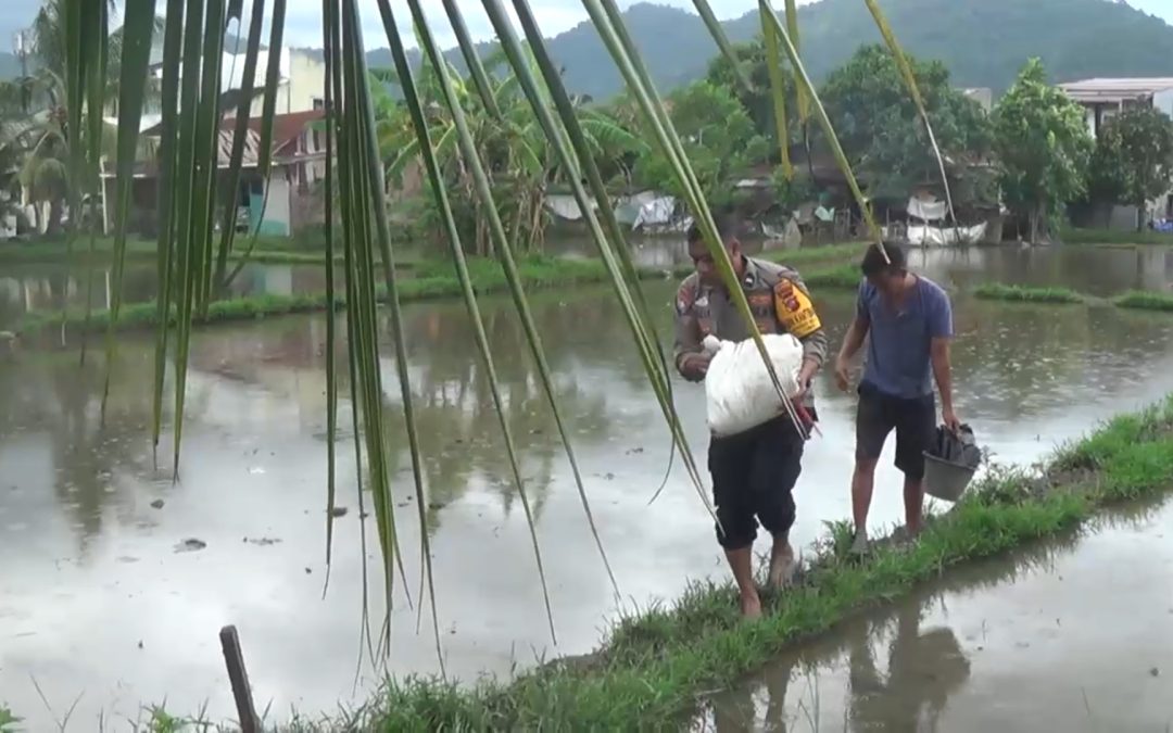 Aipda Dian Salurkan Bantuan Pupuk Ke Petani.