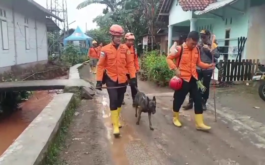 UPDATE HARI KETIGA OPERASI SAR LONGSOR MAJENANG 9 ANJING PELACAK DAN 9 ALAT BERAT DIKERAHKAN 20 ORANG MASIH HILANG