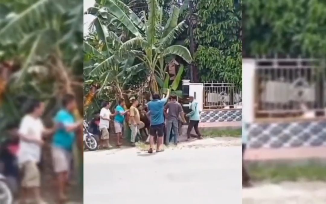 SATU DARI DUA PELAKU PENCURIAN TEWAS DIAMUK MASSA