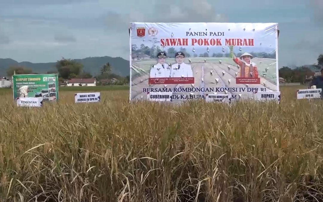 SUMBAR KEMBANGKAN PROGRAM INOVASI PERTANIAN SAWAH POKOK MURAH
